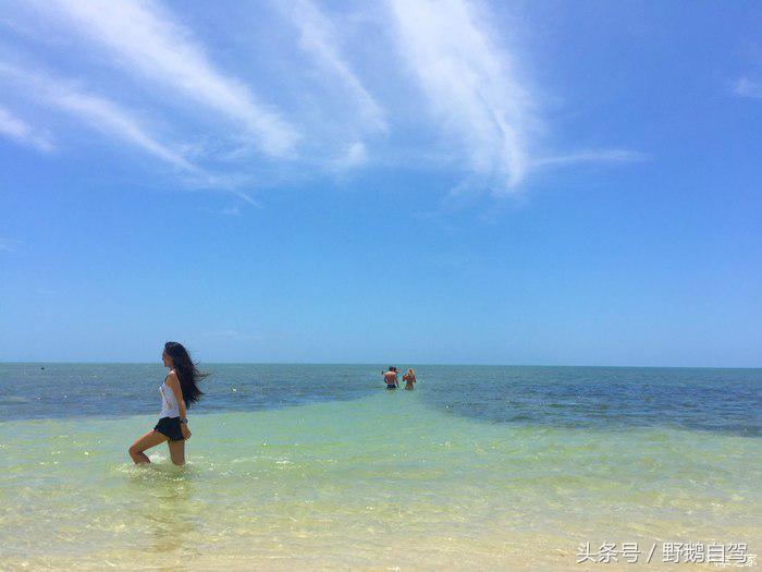 野鹅旅行,野鹅自驾无人区