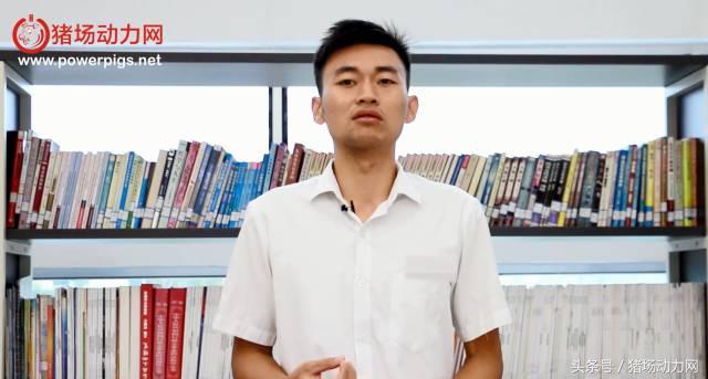 奎哥养猪21期,奎哥养猪40期视频