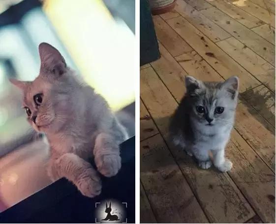 周末想要放松？不如做一次愚蠢的人类吧！