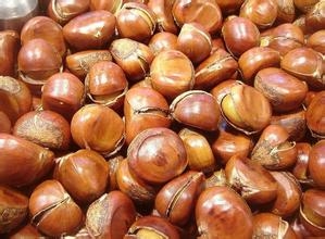 最养胎的九种坚果,坚果有哪些种类怀孕不能吃的