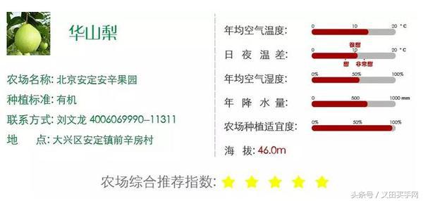 买梨子怎么选才好吃,义田买手