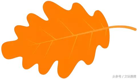 银饰品为什么会变黑,银饰品变黑了怎么办一招教你变新