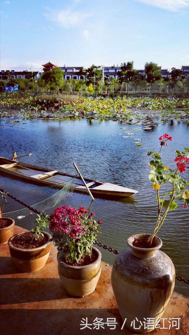 尼苏小镇打卡地,尼苏小镇是哪里