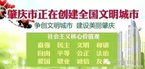 肇庆最新重磅消息,广东肇庆新消息