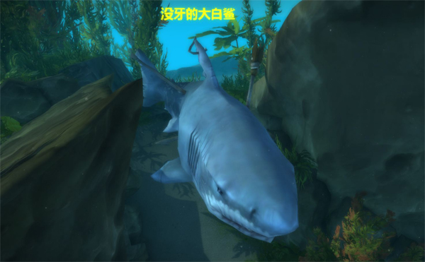 到底有多苦?细说魔兽世界破碎群岛上的苦逼们