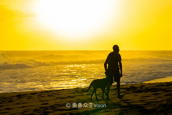 传说中的金银岛1993,金银岛宝藏传说是真的还是假的