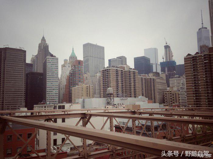 野鹅旅行,野鹅自驾无人区