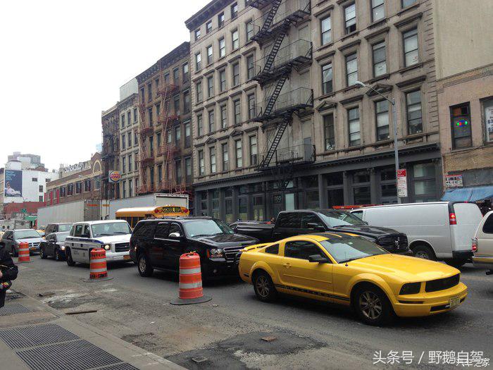 野鹅旅行,野鹅自驾无人区