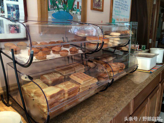 野鹅旅行,野鹅自驾无人区