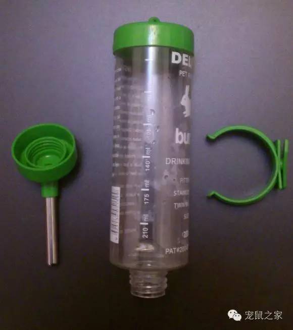 豚鼠各类饲养装备优缺点汇总之上篇