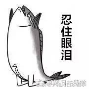 留学生被问到最不能忍受的问题,留学生最讨厌听到的话