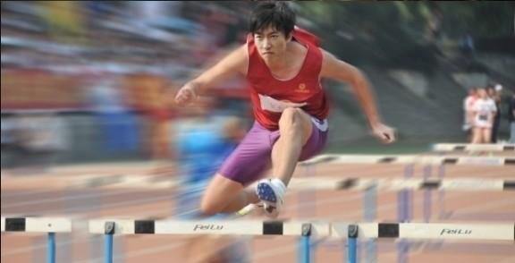 哪种狗狗最聪明又听话,什么样的狗狗聪明又听话