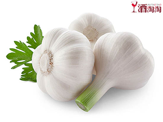 葡萄酒跟哪些药不能一起吃,西拉葡萄酒搭配什么食物