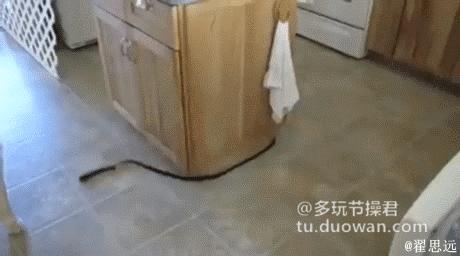 搞笑动态图：人见人爱的小萝莉