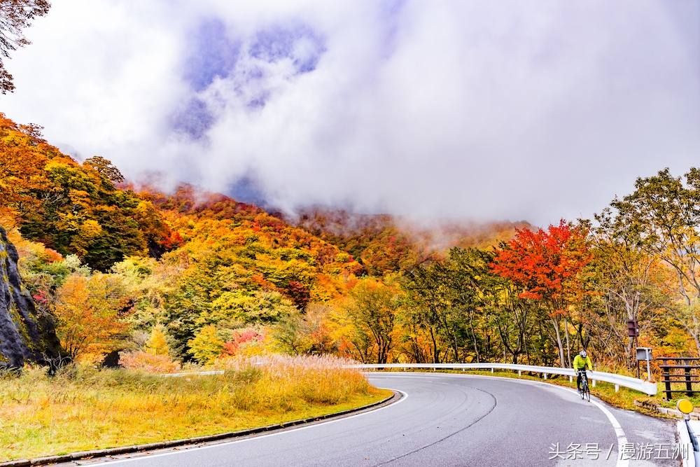 日本赏樱的最佳时间,日本赏枫最佳方法