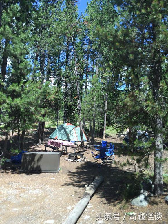 在美国旅游日常,在美国旅游攻略大全最新