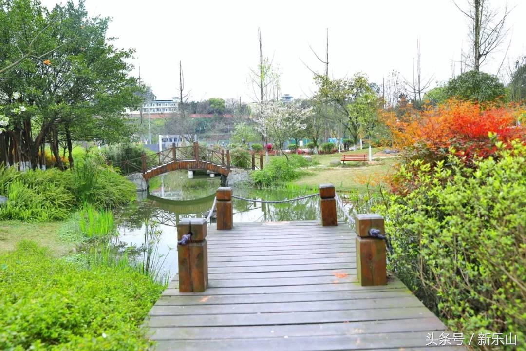 四川乐山最美的春天,乐山的春天有多美