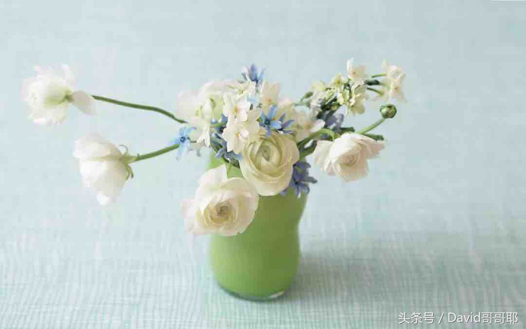 什么是红颜什么是知己什么是情人,什么是妻子什么是红颜什么是情人