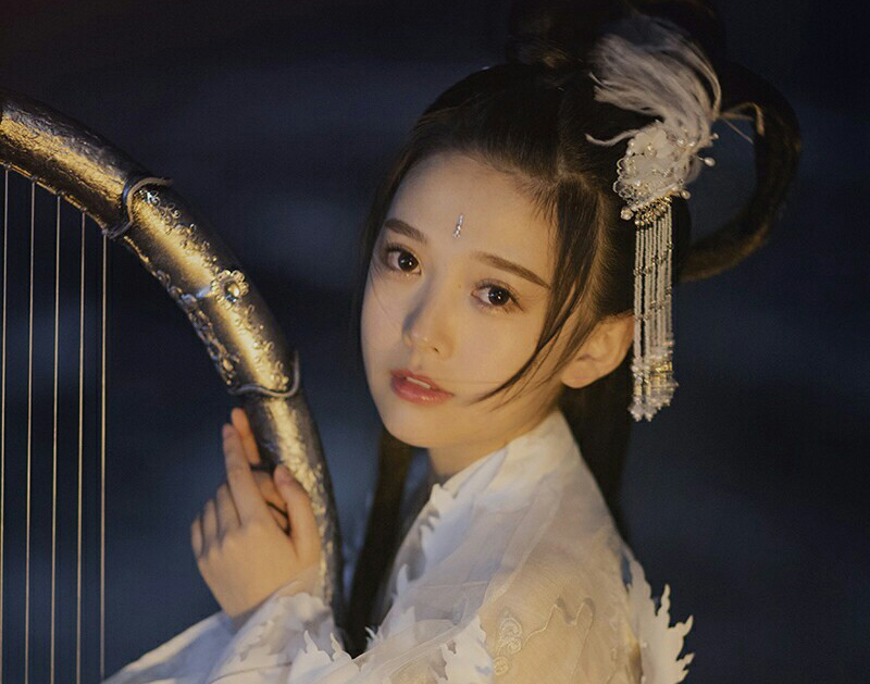 小说：将军府被昏君判罪通敌叛国，满门抄斩，将军之女被贬为官妓