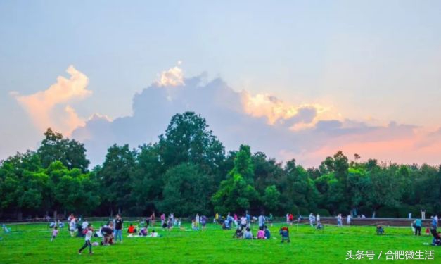 老合肥杏花公园,合肥曾经有两个杏花公园