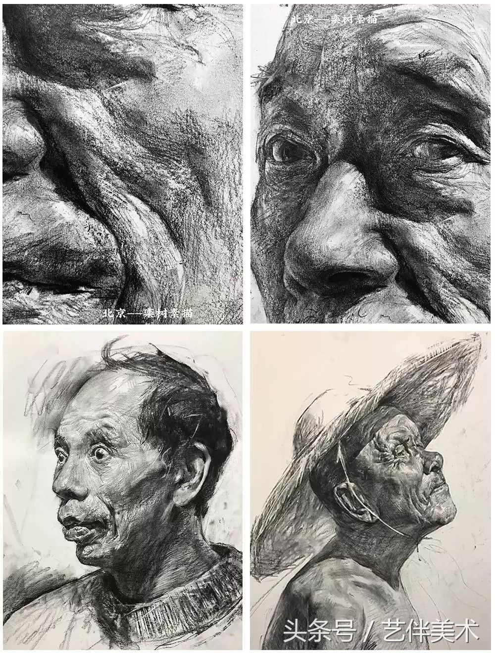 栾树画室联系方式,栾树画室有集训吗