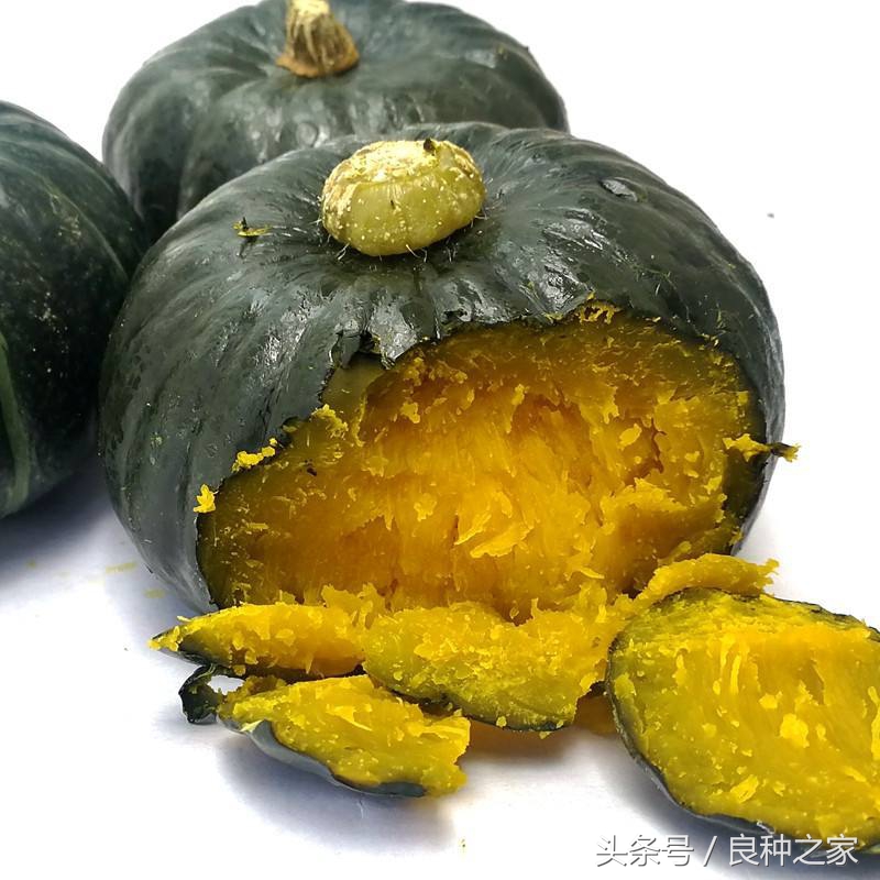 餐桌上常见的本土作物是什么,10种常见的粮食作物