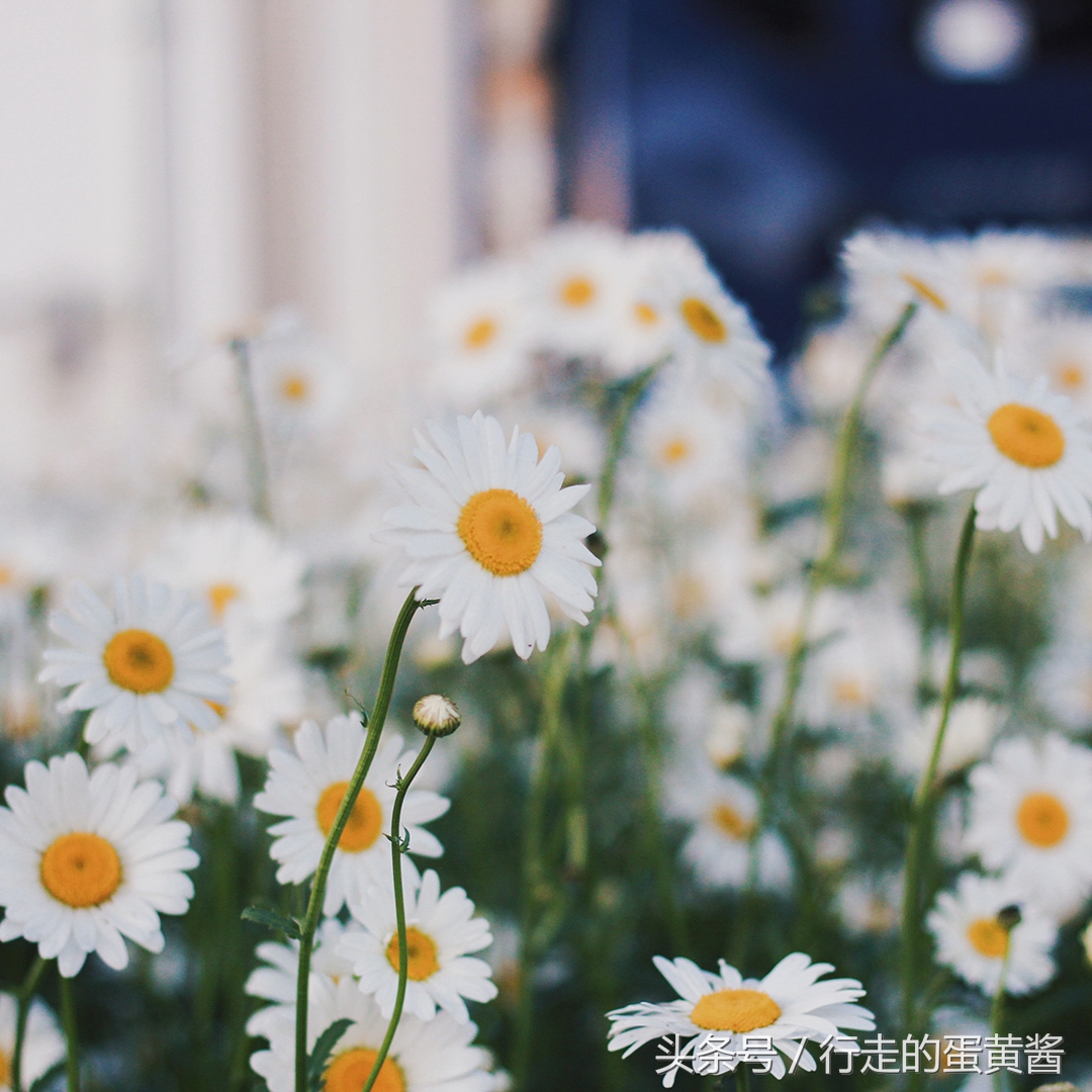 怎样才能摆脱原生家庭的束缚,怎么摆脱原生家庭缺爱