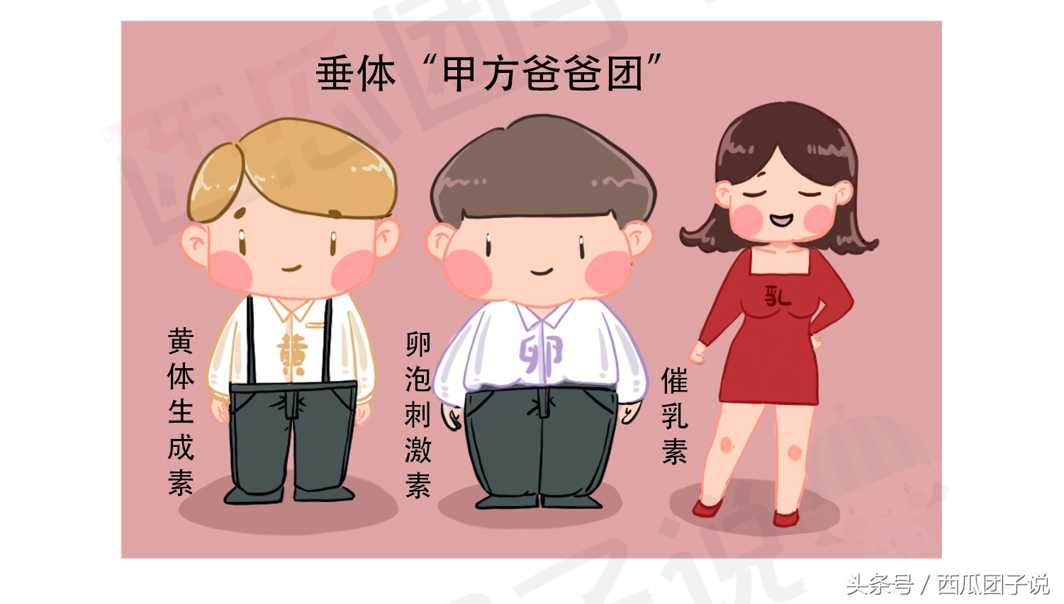 性激素6项对女性身体有什么影响,女生的性激素6项要什么才标准