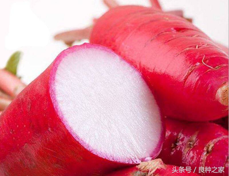 餐桌上常见的本土作物是什么,10种常见的粮食作物