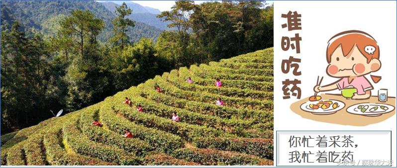 保胎孕妇之十二时辰--熊猫妈妈用药实录