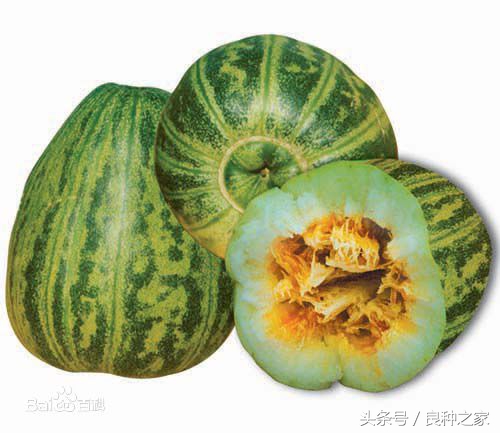 餐桌上常见的本土作物是什么,10种常见的粮食作物