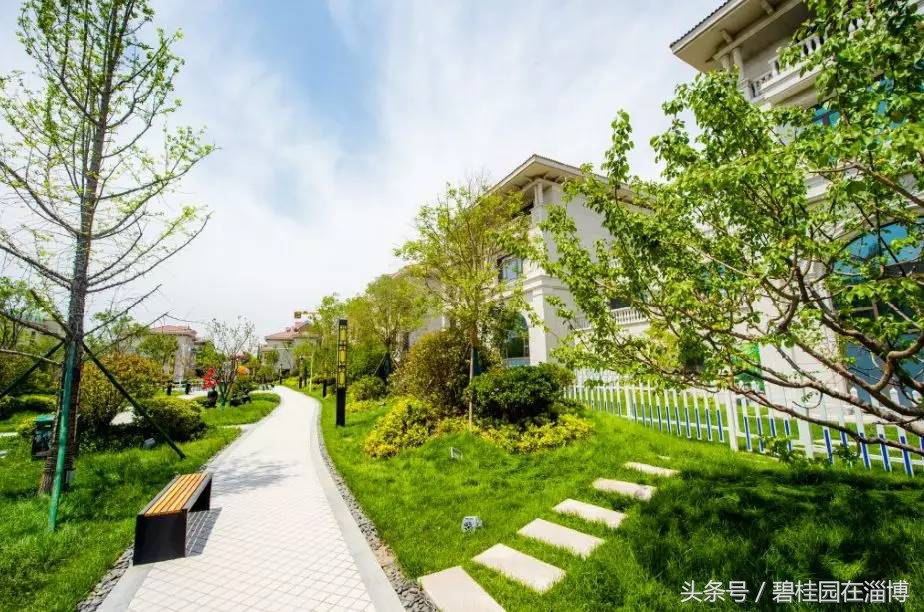 碧桂园翡翠世家别墅,淄博碧桂园翡翠世家