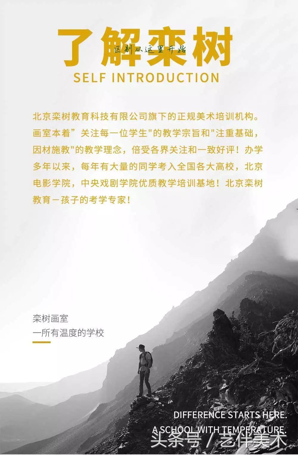 栾树画室北京,栾树画室有集训吗