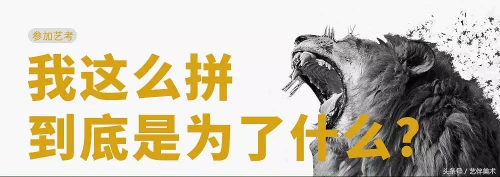 栾树画室价格一览表,栾树画室北京