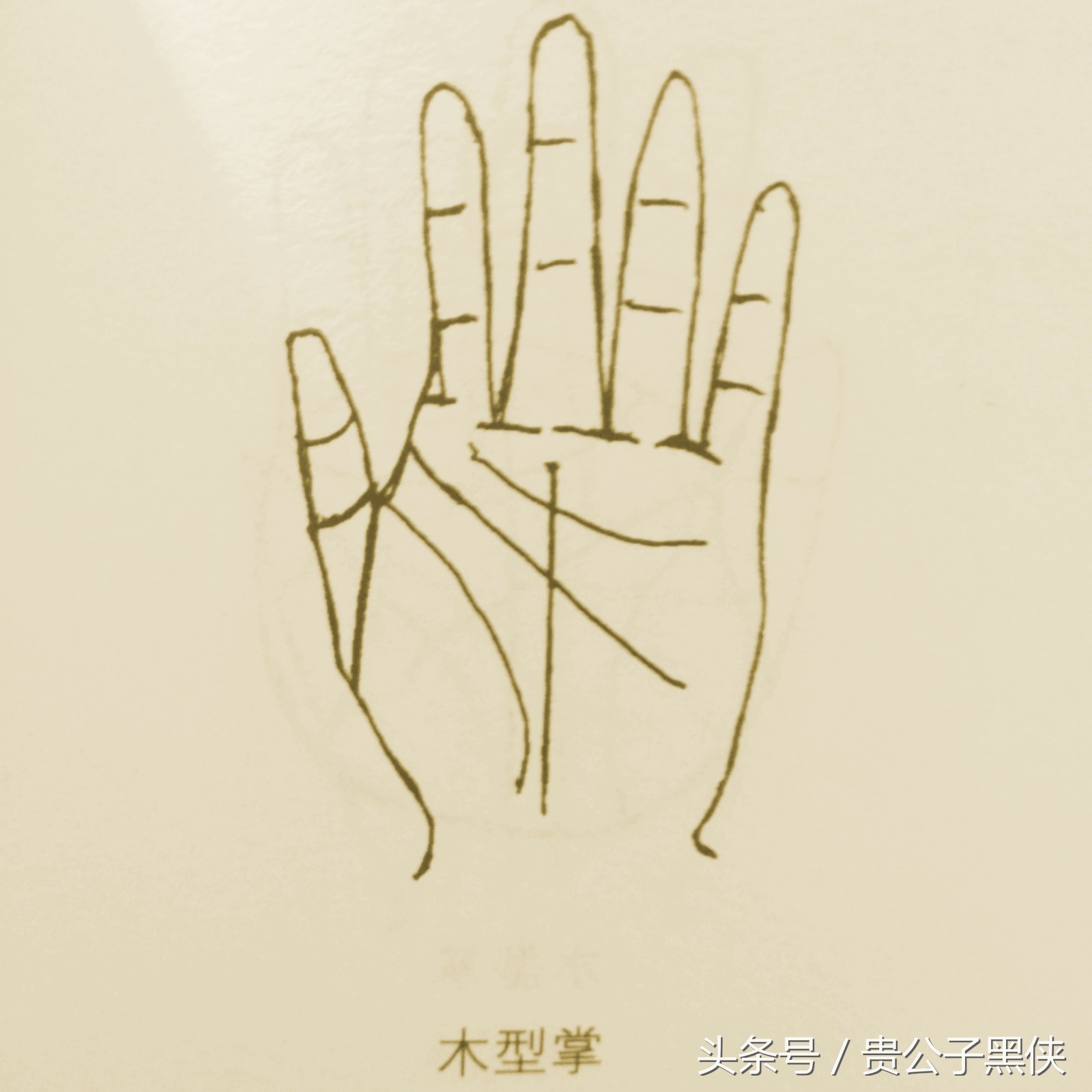 看手相算命的基本话术,学会看手相能给好朋友看吗