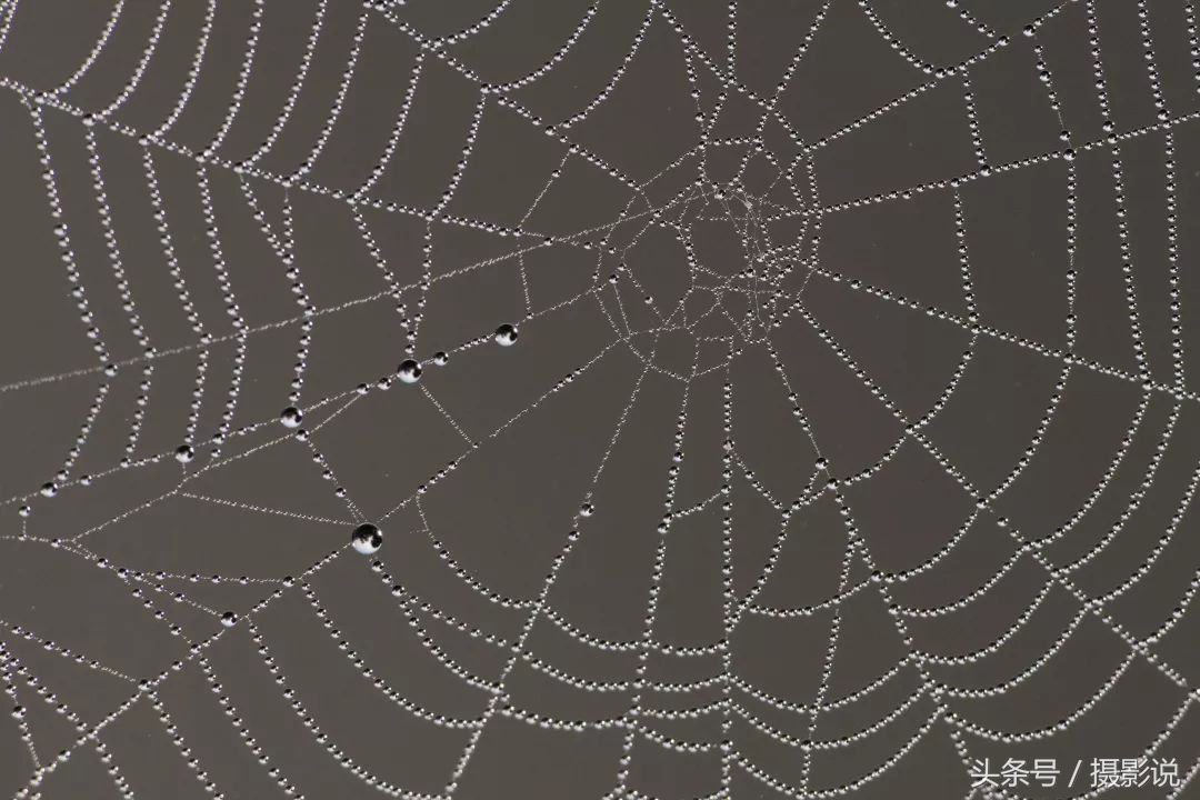 ross璇勬祴,ross娴嬭瘎