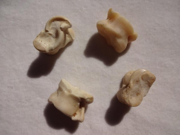 四十年前68张老照片,四十年前老照片大全