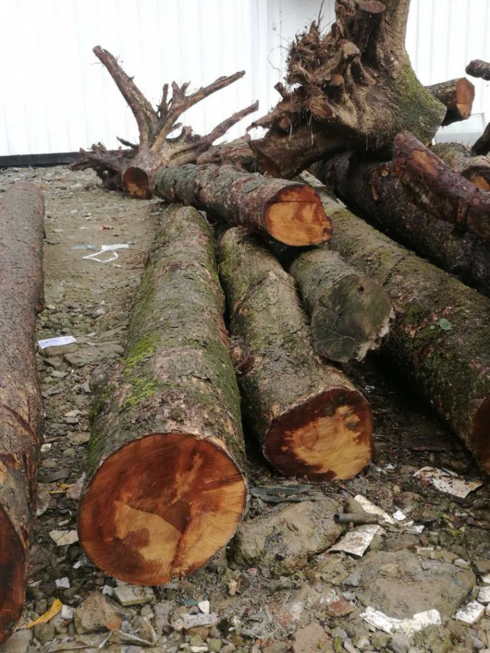 男子捡到一个黄金狮子找专家鉴宝,鉴宝大妈拿一幅武松打虎图来鉴宝