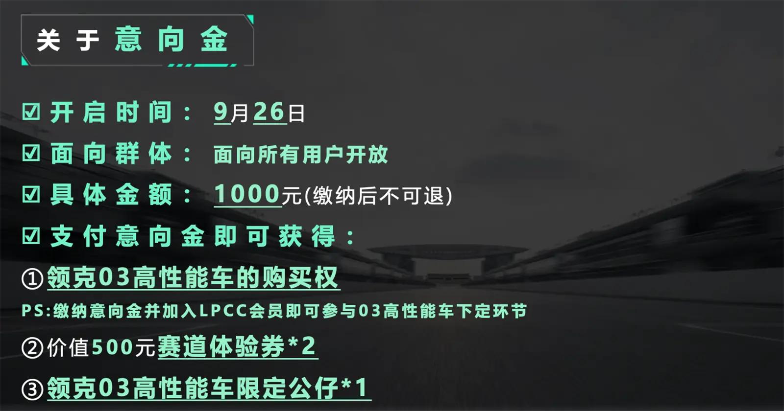 领克03高性能350匹中网,领克03高性能版测评