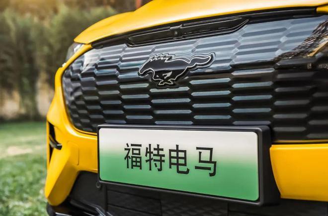 杨大勇最新录屏,杨大勇短视频