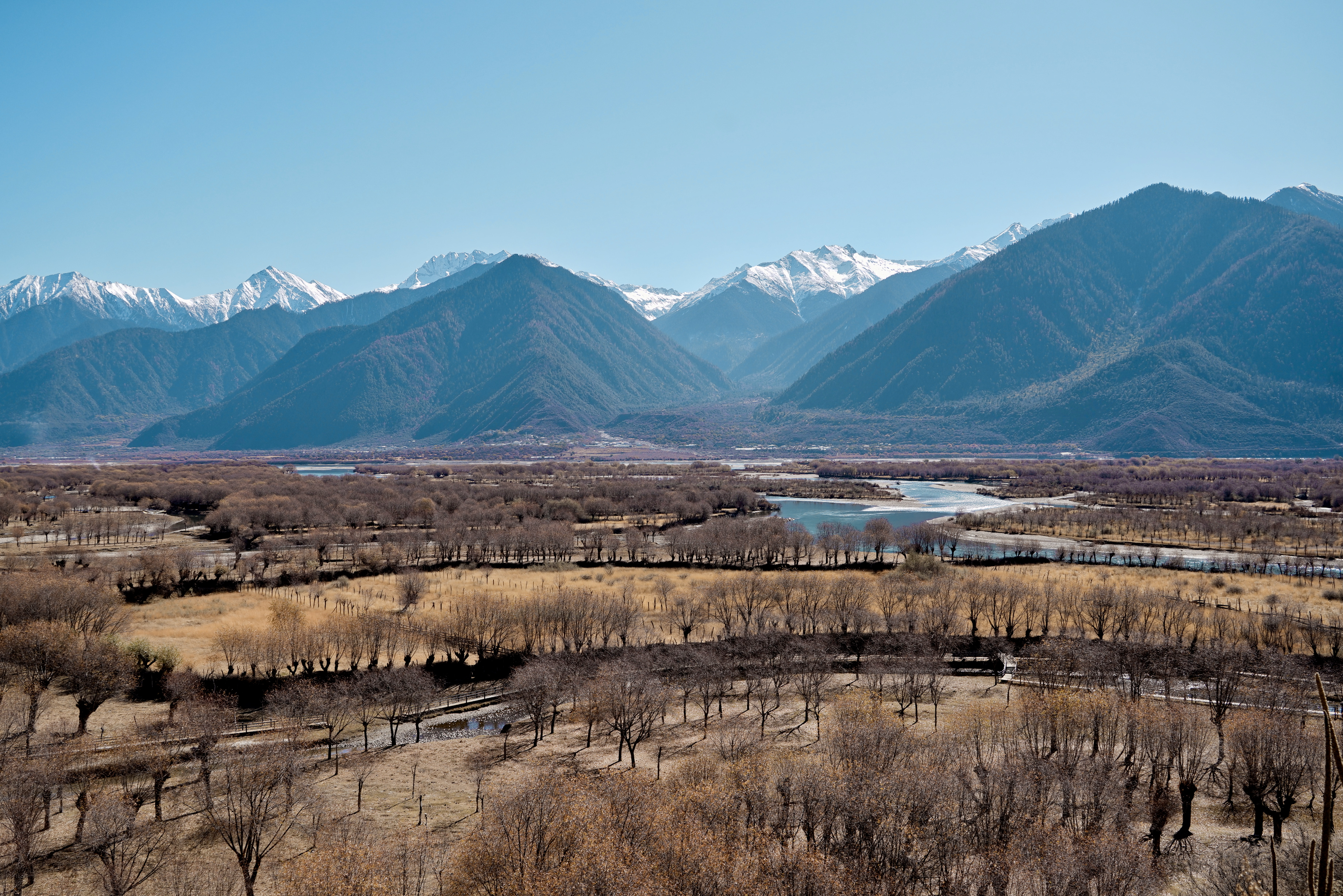 起亚k31.4t,k3起亚2021款