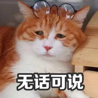 对威马逐渐失去耐心的车主们,现在的威马车主