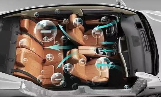 汽车也能导致过敏,柳絮花粉过敏的原因