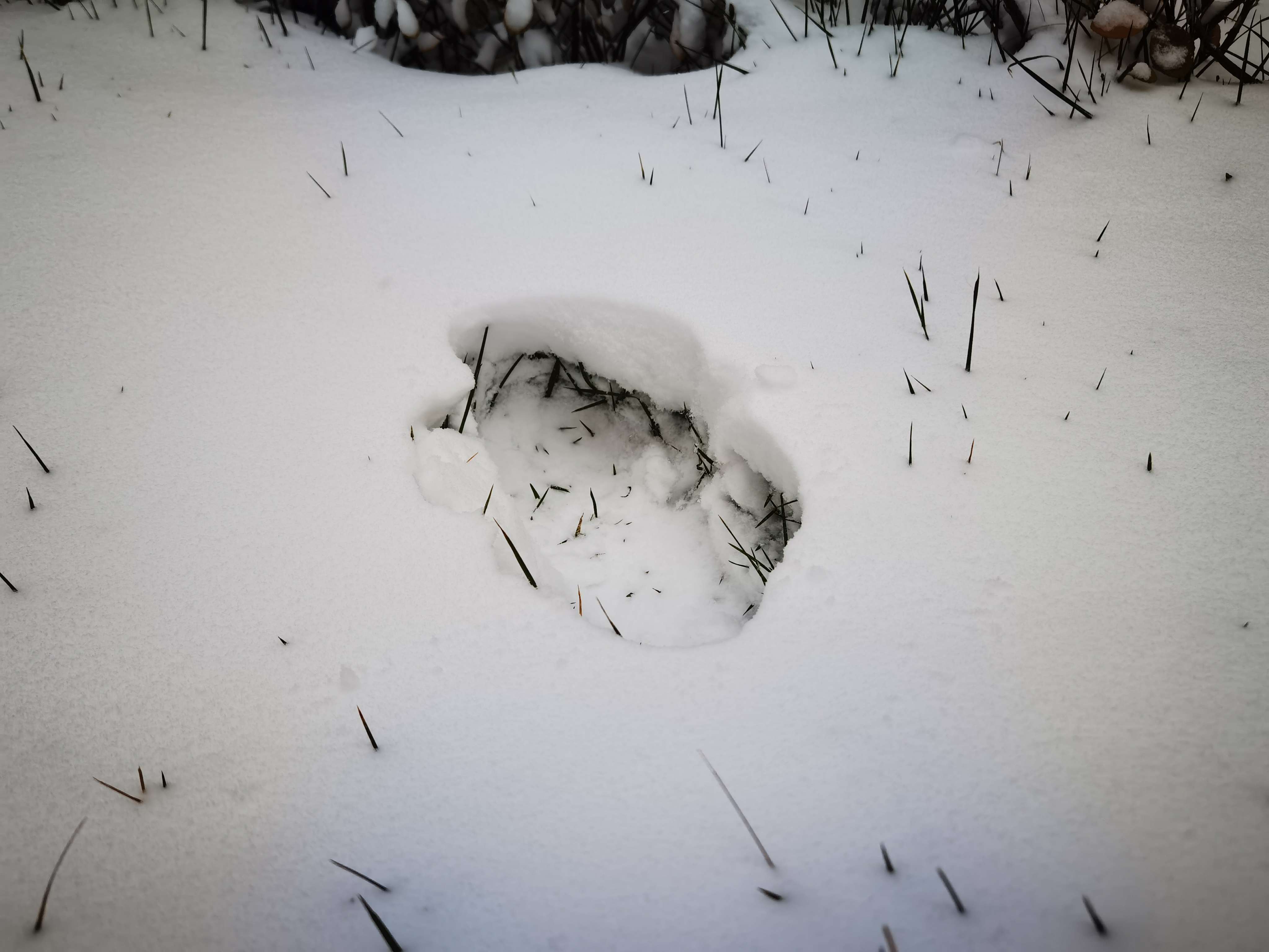 2022用车保养省钱干货！适用所有车型的省钱秘笈！