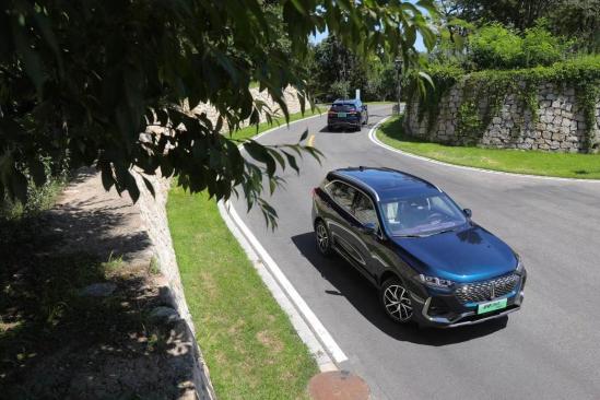 魏牌拿铁dht-phev超大杯值得购买吗,魏牌拿铁dht与dht-phev怎么选