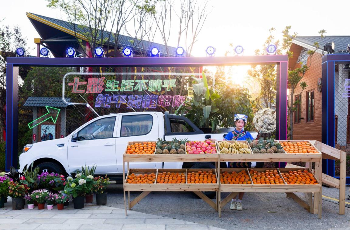 大将军皮卡分期,大将军皮卡分期五年