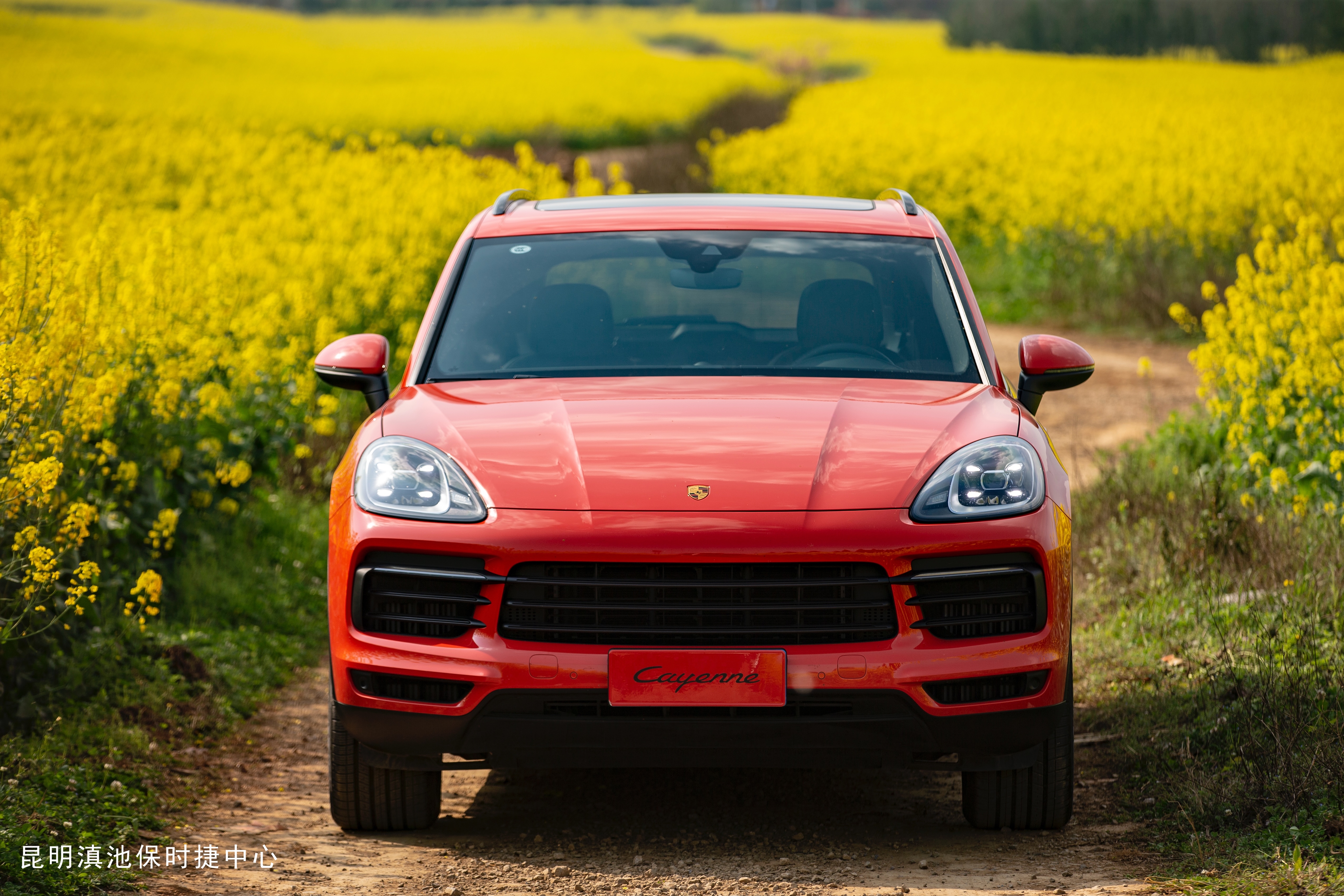 不止眼前的苟且还有诗和远方许巍,生活不止眼前的苟且许巍