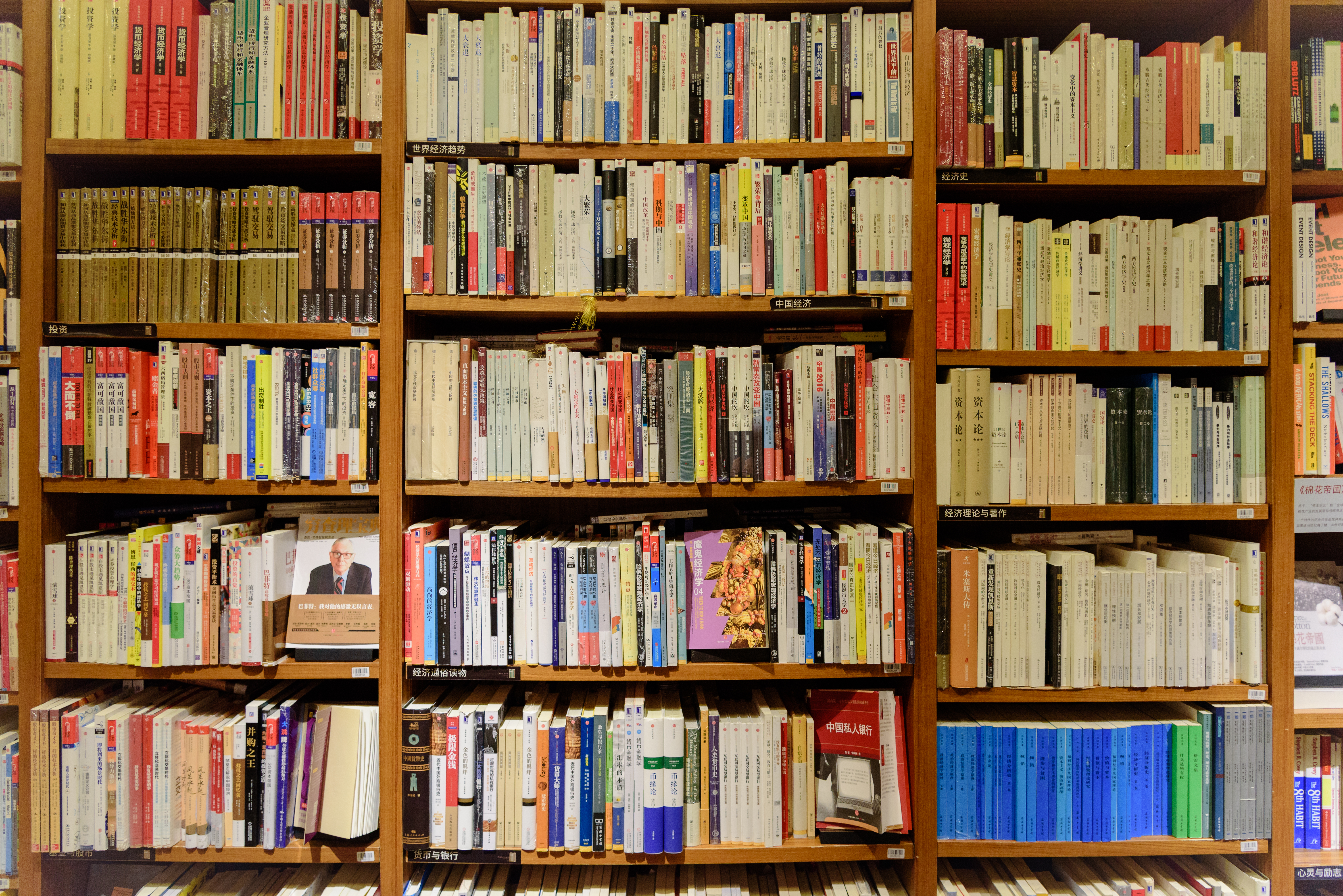 小说：别人捡沙奈朵当老婆，我不同，我捡霜奶仙，还能当备用食品