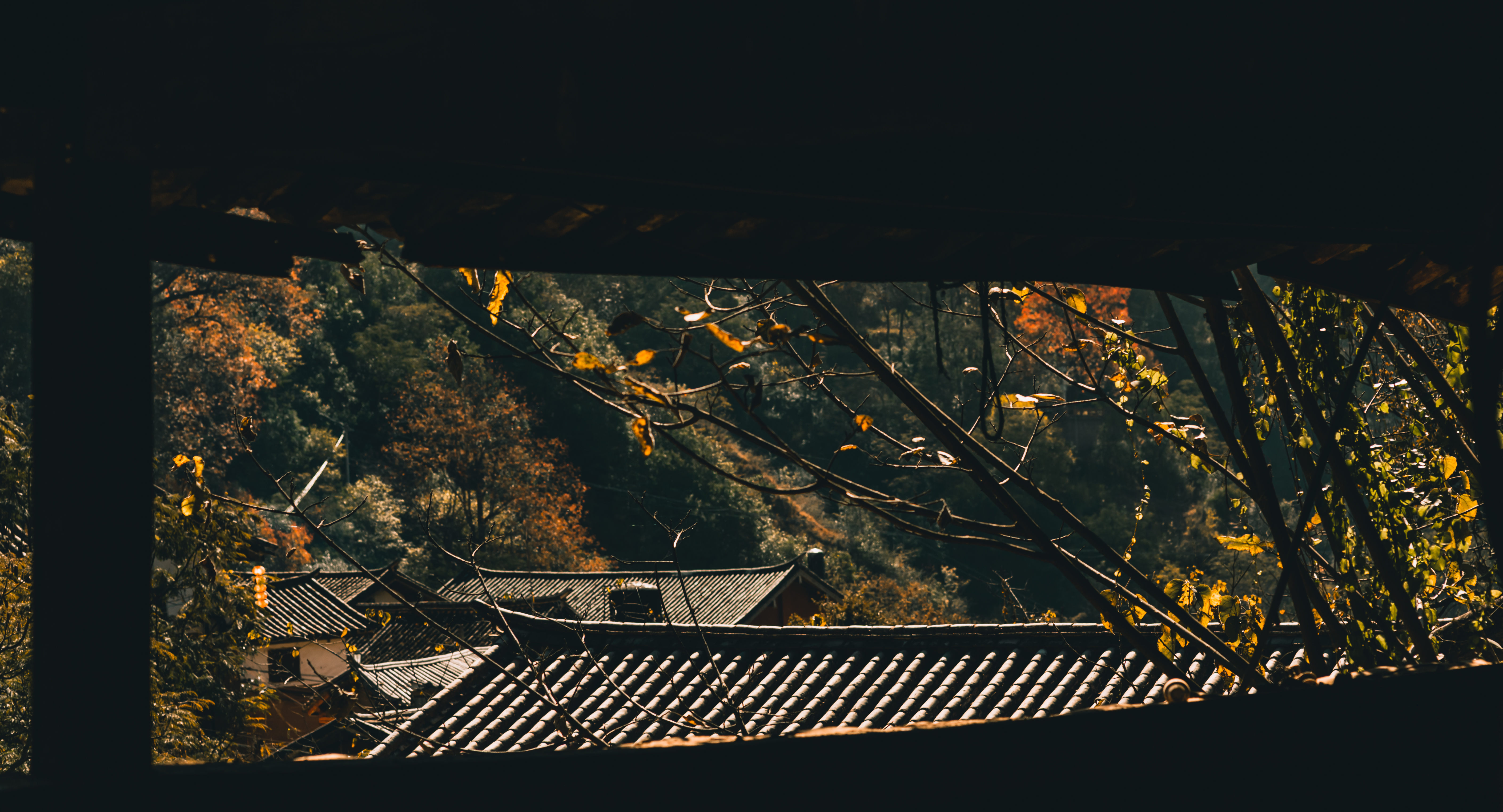 abo血型系统分型依据是什么,abo血型的特点和分型是什么