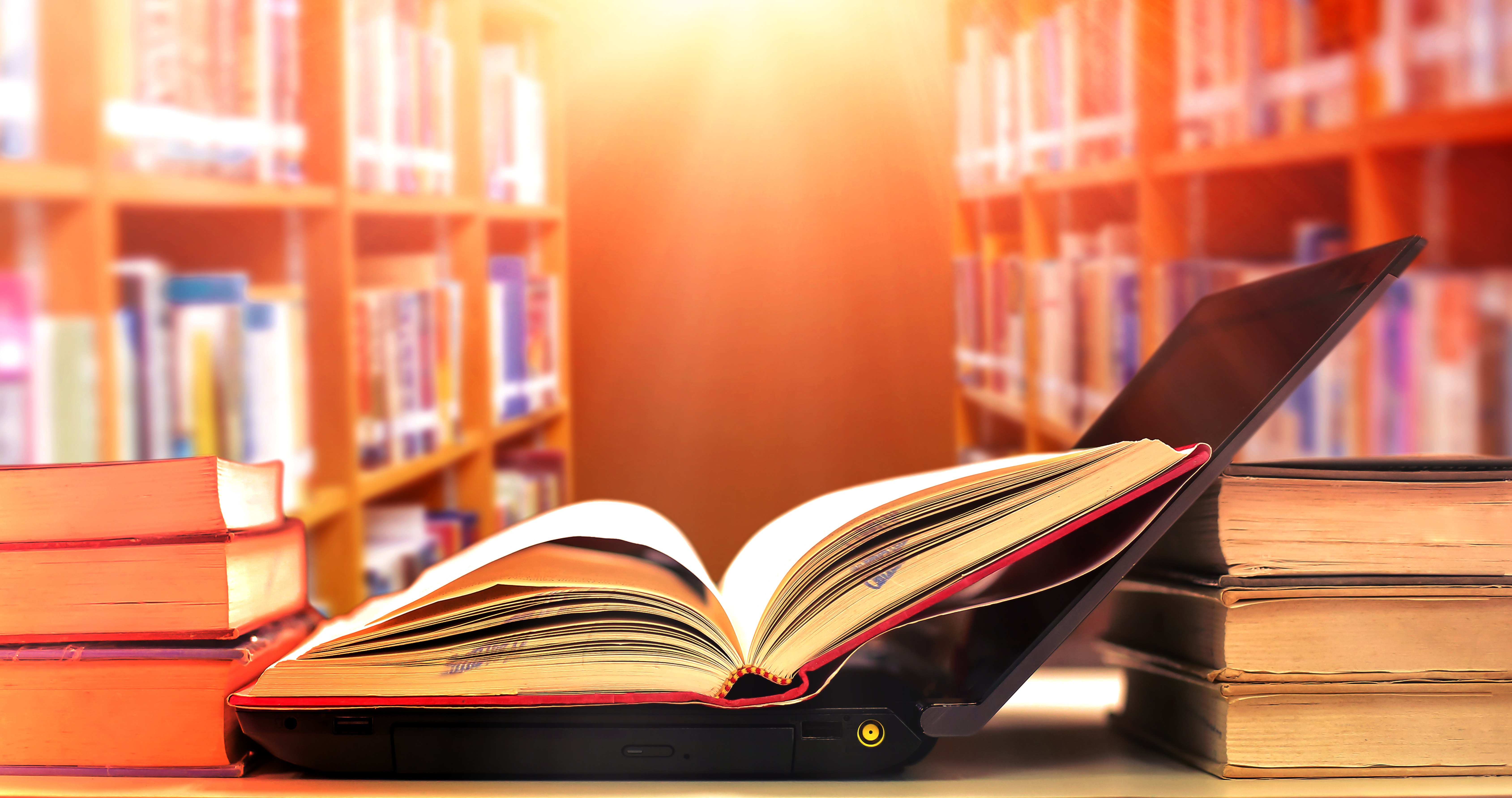 爱尔兰当代文学旗手多纳尔·瑞安，高浓度呈现小说的残忍与隽永